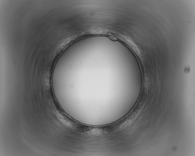 X0000097590441200803141858