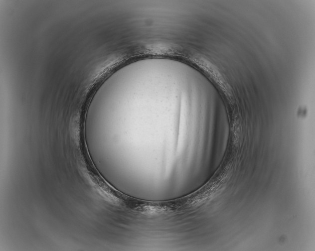 X0000097590442200803141858