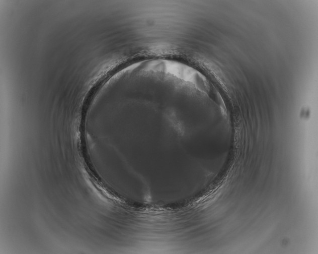 X0000097590443200803141858