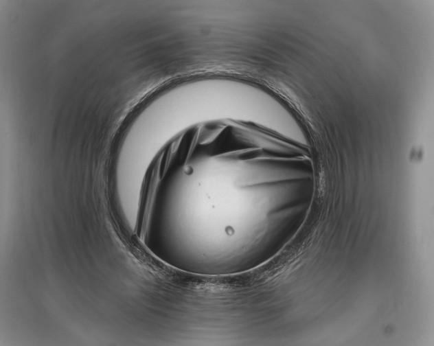 X0000097590444200803141858