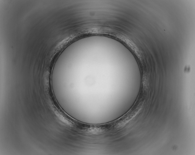 X0000097590445200803141858