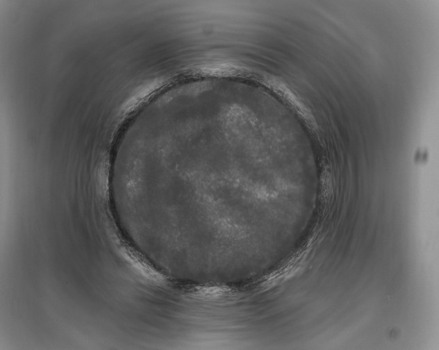 X0000097590446200803141858