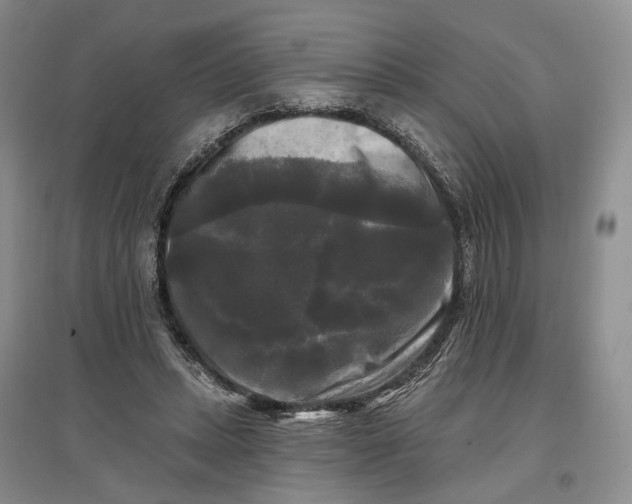 X0000097590447200803141858