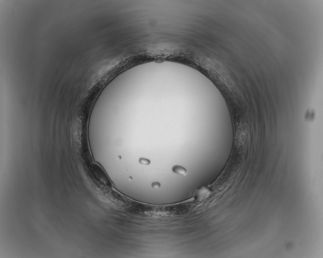 X0000097590448200803141858