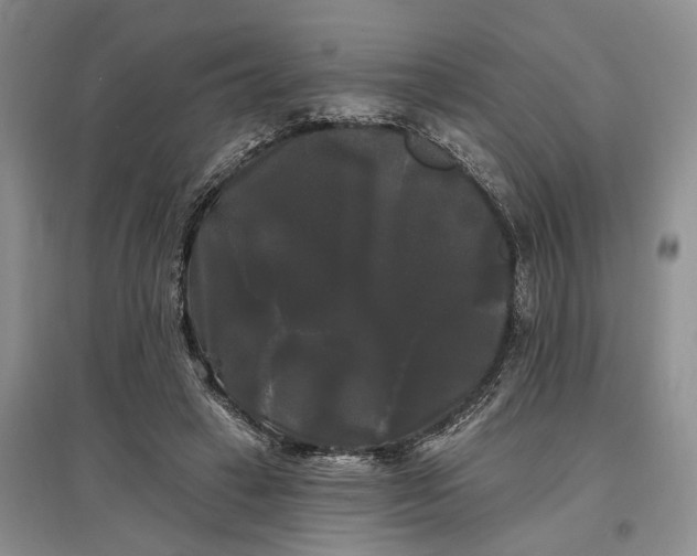 X0000097590449200803141858