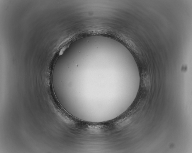 X0000097590450200803141858