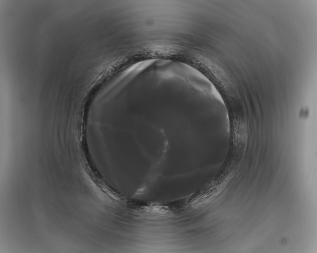 X0000097590451200803141858