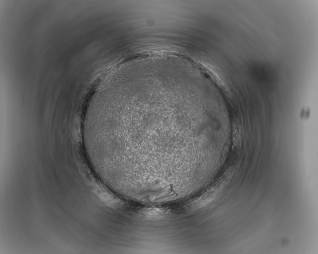 X0000097590453200803141858