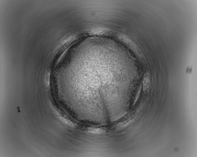 X0000097590454200803141858