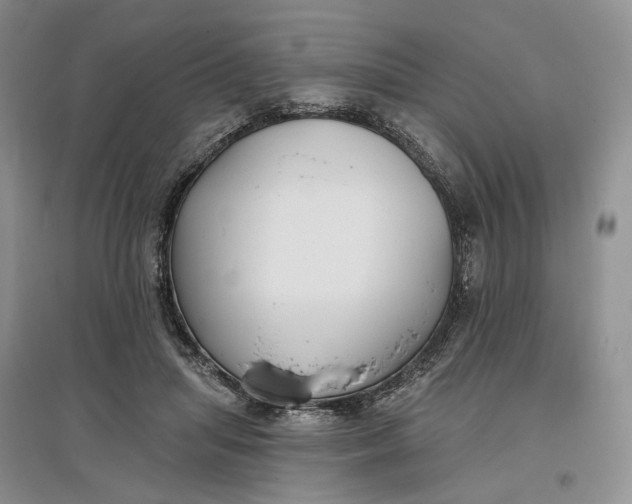 X0000097590455200803141858