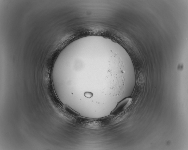 X0000097590456200803141858