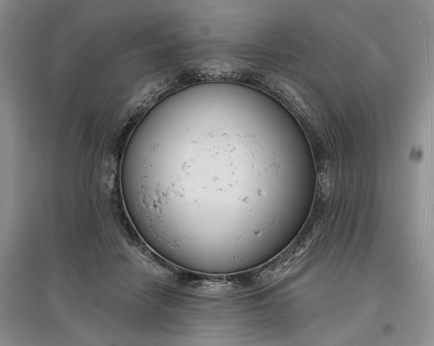 X0000097590458200803141858