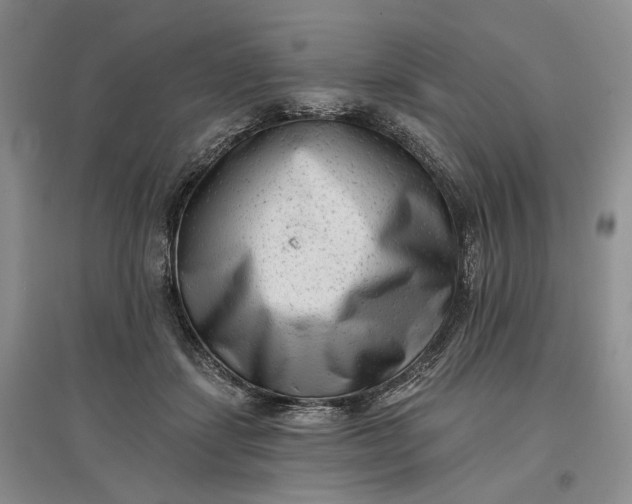 X0000097590459200803141858