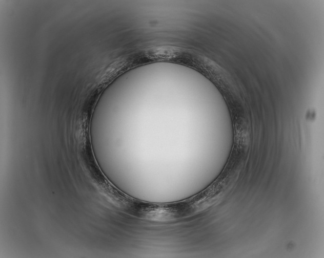 X0000097590460200803141858