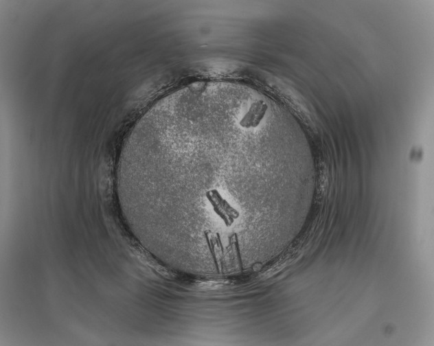 X0000097590461200803141858