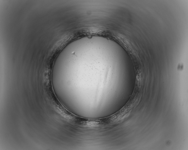 X0000097590462200803141858