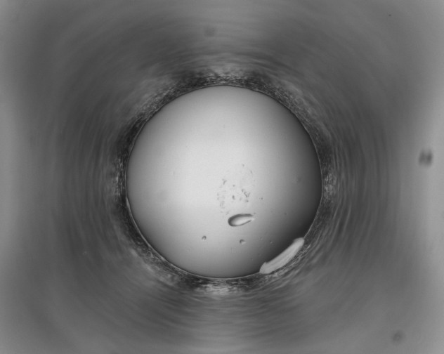 X0000097590464200803141858