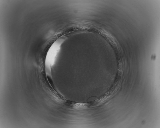 X0000097590465200803141858