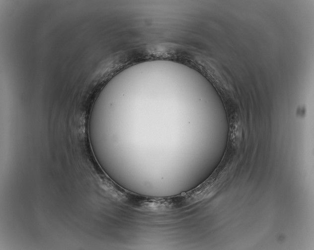 X0000097590466200803141858