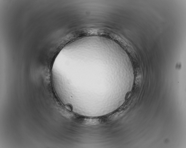 X0000097590469200803141858