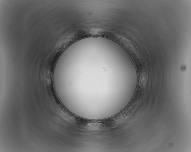 X0000097590470200803141858