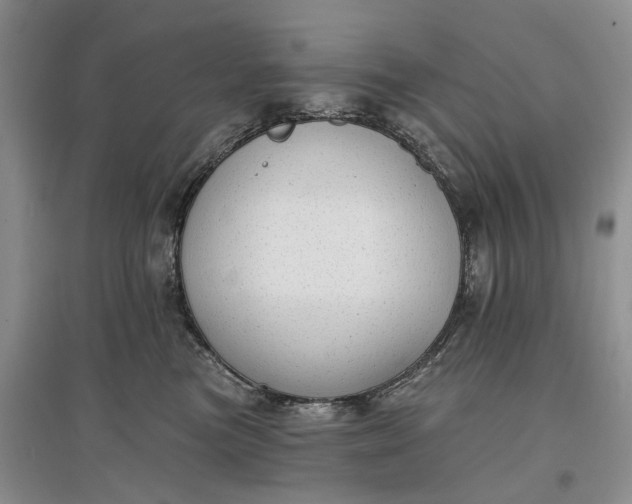 X0000097590473200803141858