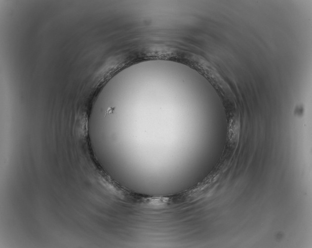 X0000097590474200803141858