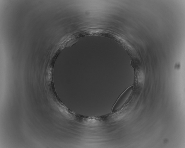 X0000097590475200803141858