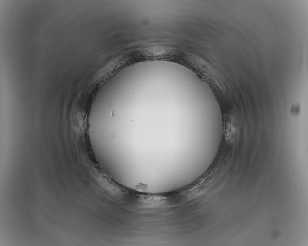 X0000097590476200803141858