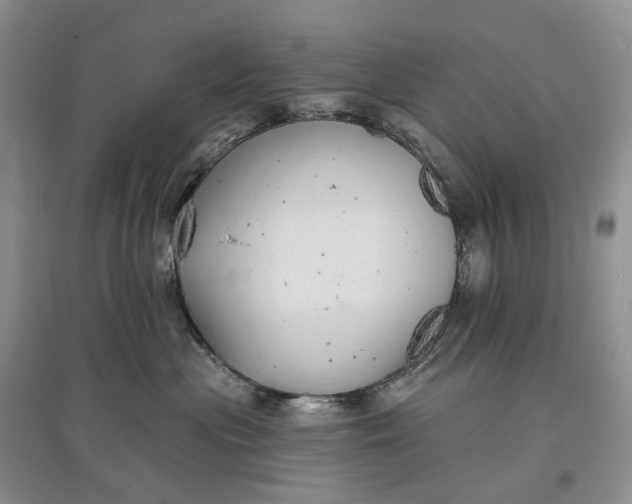 X0000097590477200803141858