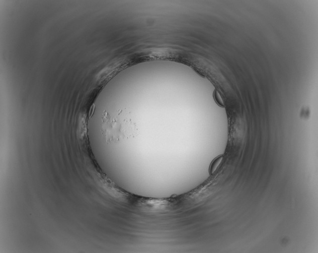 X0000097590478200803141858