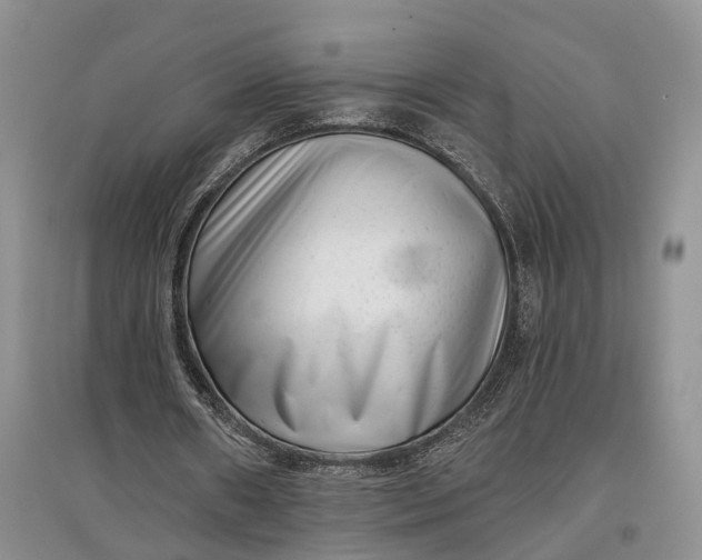 X0000097590482200803141858