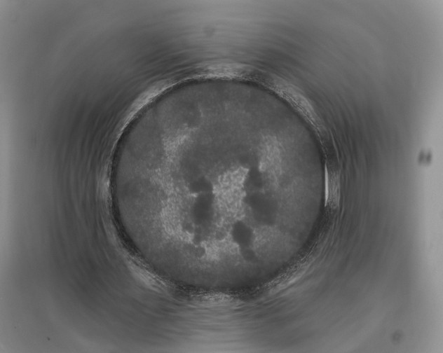 X0000097590483200803141858