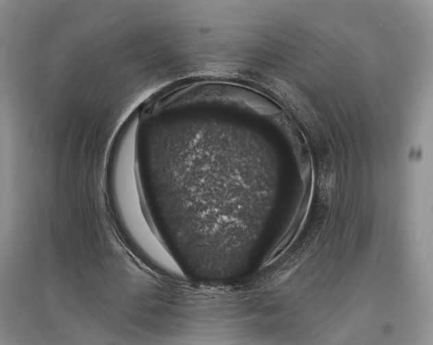 X0000097590484200803141858