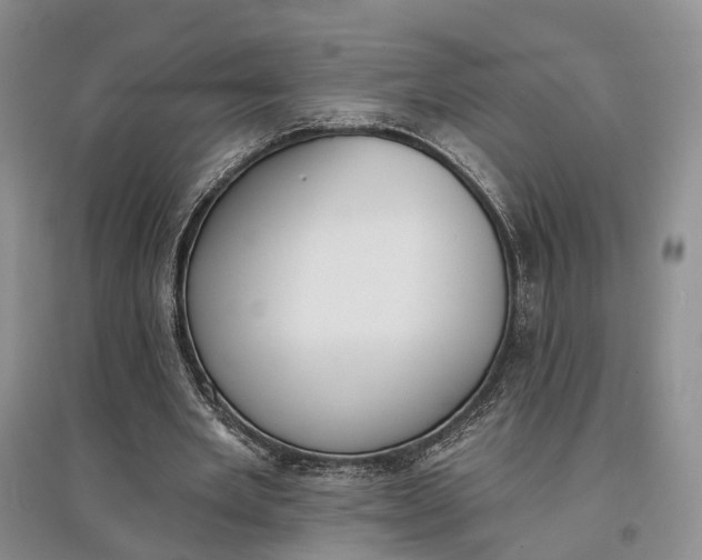 X0000097590485200803141858