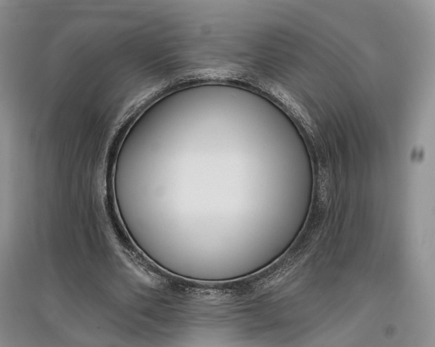 X0000097590486200803141858