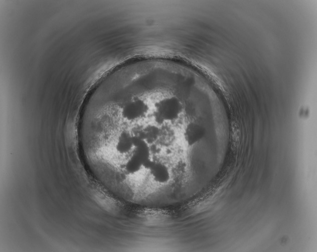 X0000097590487200803141858