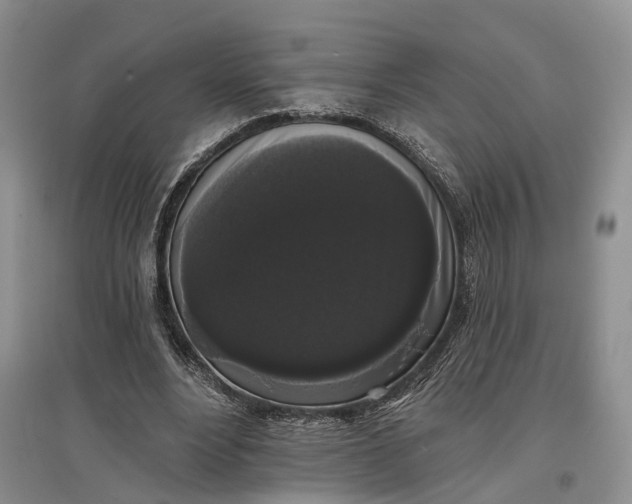 X0000097590488200803141858