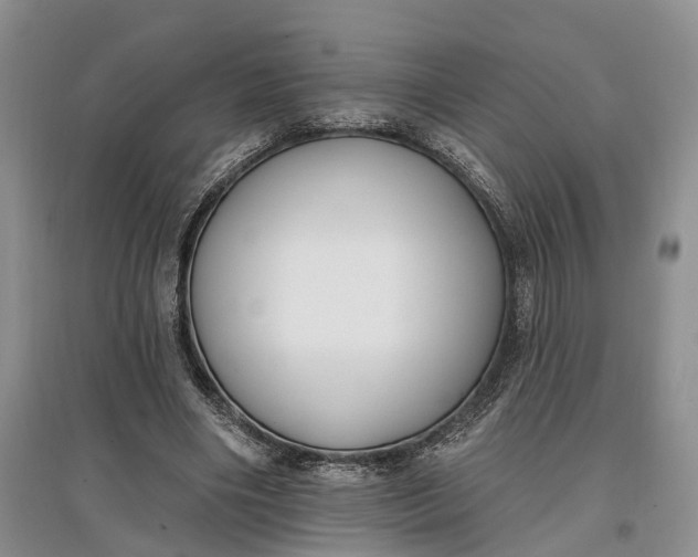 X0000097590490200803141858