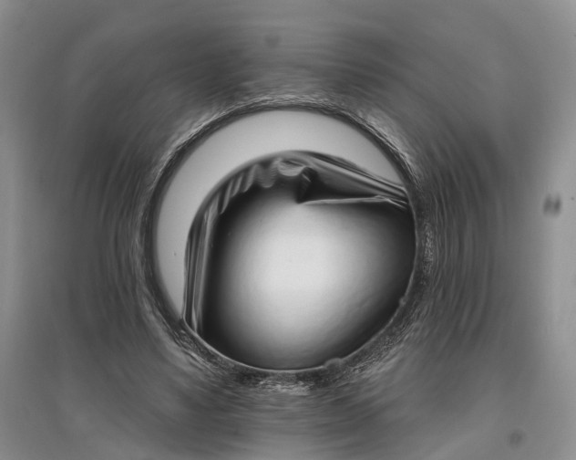 X0000097590491200803141858