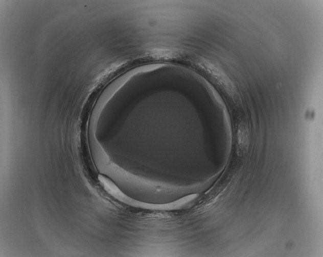 X0000097590492200803141858