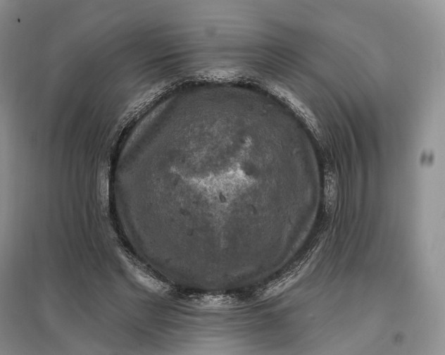 X0000097590493200803141858