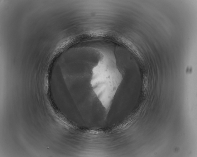 X0000097590494200803141858