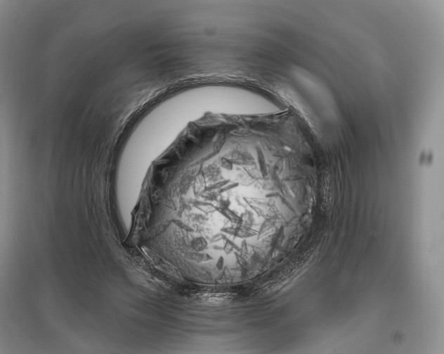 X0000097590495200803141858