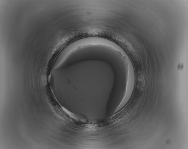 X0000097590496200803141858