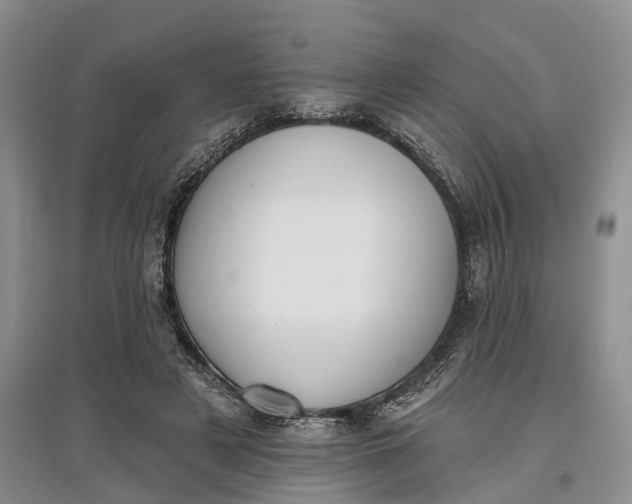 X0000097590497200803141857