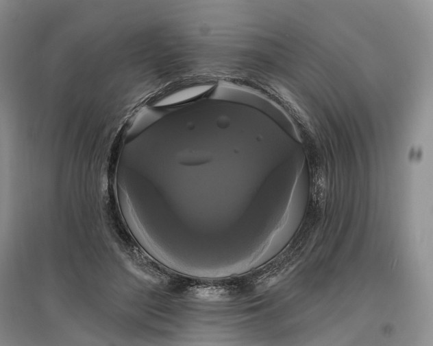 X0000097590500200803141857