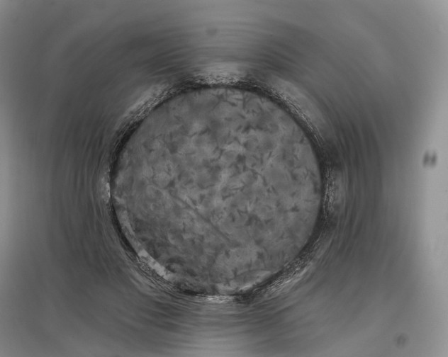 X0000097590501200803141857