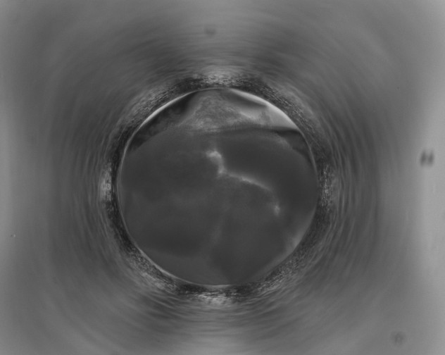 X0000097590502200803141857