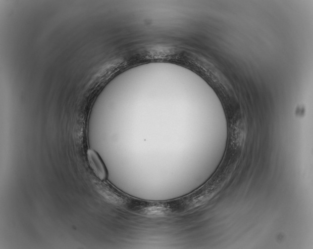 X0000097590505200803141857